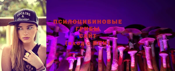 2c-b Балахна