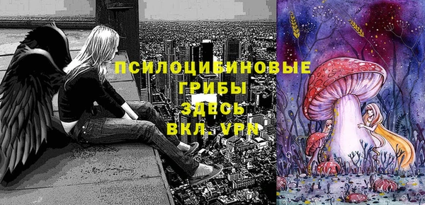 2c-b Балахна