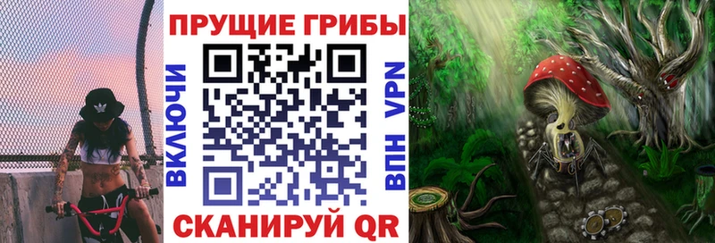 Галлюциногенные грибы GOLDEN TEACHER Красноуфимск